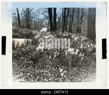 Casa e giardino non identificati, tra il 1910 e il 1935. Foto Stock