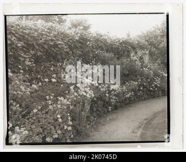 Casa e giardino non identificati, tra il 1910 e il 1935. Foto Stock