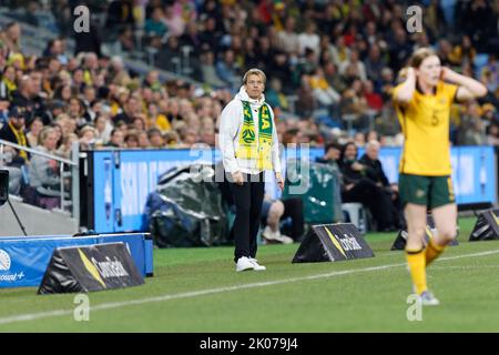 SYDNEY, AUSTRALIA - SETTEMBRE 6: L'allenatore australiano Tony Gustavsson guarda su durante l'International friendly Match tra Australia e Canada a A. Foto Stock