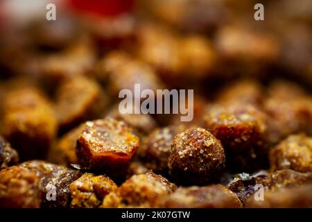 Primo piano estremo di pane di ape. Messa a fuoco selettiva. Profondità di campo poco profonda Foto Stock