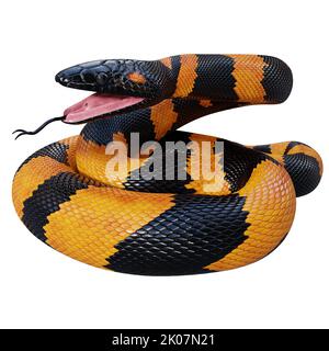 Illustrazione di Bismarck ringed python 3D. Foto Stock