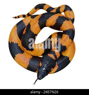 Illustrazione di Bismarck ringed python 3D. Foto Stock