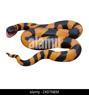 Illustrazione di Bismarck ringed python 3D. Foto Stock