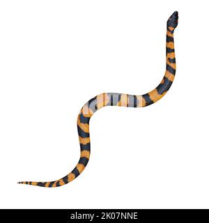 Illustrazione di Bismarck ringed python 3D. Foto Stock