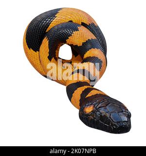 Illustrazione di Bismarck ringed python 3D. Foto Stock