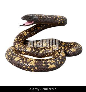 Calabar Python 3D illustrazione Foto Stock