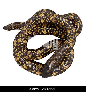 Calabar Python 3D illustrazione Foto Stock