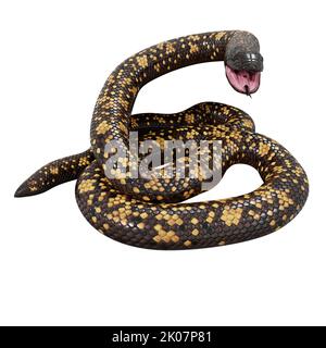 Calabar Python 3D illustrazione Foto Stock