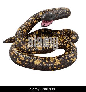 Calabar Python 3D illustrazione Foto Stock