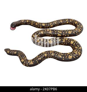 Calabar Python 3D illustrazione Foto Stock