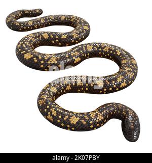 Calabar Python 3D illustrazione Foto Stock