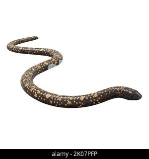 Calabar Python 3D illustrazione Foto Stock