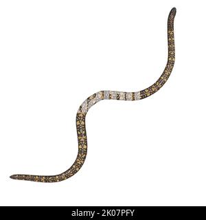 Calabar Python 3D illustrazione Foto Stock