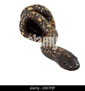 Calabar Python 3D illustrazione Foto Stock