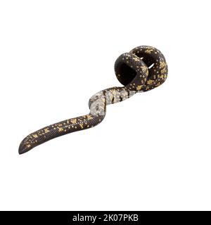 Calabar Python 3D illustrazione Foto Stock