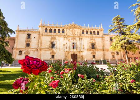 Facciata dell'edificio del Collegio di San Ildefonso, sede dell'Università di Alcala de Henares e giardino di rose in primo piano Foto Stock