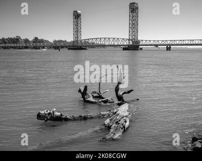 Il Rio Vista Draw Bridge sul fiume Sacramento, in California, con un albero che si dipana a riva. Foto Stock