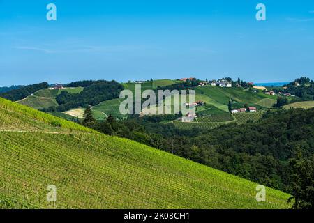 Bella vista panoramica del vigneto e delle fattorie nella Stiria meridionale vicino a Gamlitz in una giornata di sole estate con nuvole di cielo blu, Austria Foto Stock