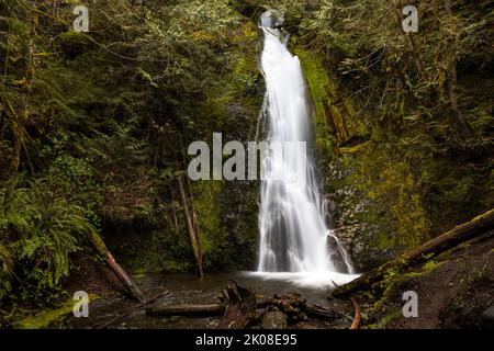 WA21973-00...WASHINGTON - Madison Falls situato nella valle del fiume Elwha del Parco Nazionale Olimpico. Foto Stock