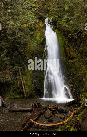 WA21974-00...WASHINGTON - Madison Falls situato nella valle del fiume Elwha del Parco Nazionale Olimpico. Foto Stock