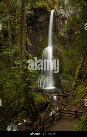 WA21984-00...WASHINGTON - Cascate Marymar vicino al Lago Crescent nel Parco Nazionale Olimpico. Foto Stock