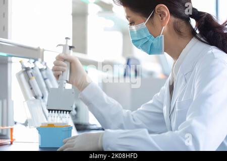 Campioni pipettati da scienziati cinesi in laboratorio Foto Stock