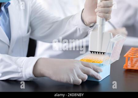 Campioni pipettati da scienziati cinesi in laboratorio Foto Stock