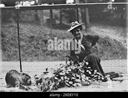 Sig.ra Franklin Adams, nee Harriet Chalmers, allo Zoo, 1912. [esploratore americano, scrittore e fotografo Harriet Chalmers Adams. Ha tenuto conferenze frequenti sui suoi lunghi viaggi in Sud America, Asia e Sud Pacifico, e ha illustrato i suoi colloqui con diapositive e film a colori. Ha anche pubblicato i suoi racconti sui suoi viaggi sulla rivista National Geographic. Sposato con Franklin Pierce Adams]. Foto Stock