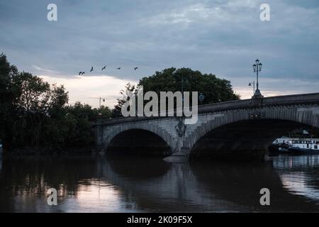 Tamigi River, Chiswick, Londra, Regno Unito Foto Stock