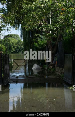 Londra, Inghilterra, Regno Unito. Inondato il Tamigi dopo i temporali a Chiswick West London. 10th settembre 2022. Cristina Massei/Alamy Live News Foto Stock