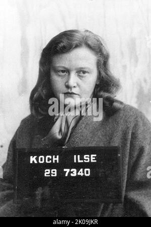 Ilse Koch (1906 - 1967) criminale di guerra nazista che era un sovrintendente nei campi di concentramento nazisti gestiti da suo marito, comandante Karl-otto Koch. Lavorando a Buchenwald (1937-1941) e Majdanek (1941-1943), Koch divenne famigerata per il suo trattamento sadico e brutale dei prigionieri. Nel 1947, divenne uno dei primi nazisti prominenti processati dai militari statunitensi. Foto Stock