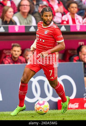 Monaco, Germania. 10th Set, 2022. Serge GNABRY, FCB 7 nella partita FC BAYERN München - VFB STUTTGART 2-2 1.German Football League il 10 settembre 2022 a Monaco di Baviera, Germania. Stagione 2022/2023, giorno 6, 1.Bundesliga, FCB, München, 6.Spieltag Credit: Peter Schatz/Alamy Live News Foto Stock