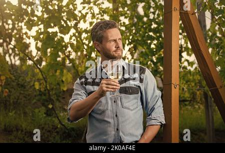 enologo con wineglass. sommelier. agricoltore bere vino. grazie. vinedresser bere. Foto Stock