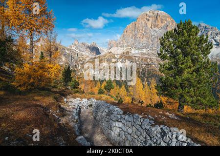 Famoso sentiero roccioso intorno alle scogliere delle cinque Torri. Larici colorati in autunno e vette spettacolari sullo sfondo, Dolomiti, Italia, Europa Foto Stock