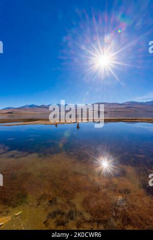 Una riflessione di mattina presto di sunburst / starburst in uno dei laghi nella riserva paludosa di Tso Moriri nell'area di Changthang di Ladakh, India. Foto Stock