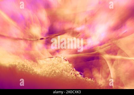 Spazio a quattro dimensioni sfocato (cielo trapelato, il concetto di wormhole). Fantasy astratta primo piano estremo Foto Stock