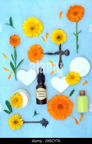Calendula fiori per l'olio essenziale a base di piante alternative per i rimedi naturali di fiori per la cura della pelle. Tratta ferite, psoriasi, eczema, acne. Foto Stock