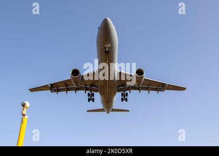 Royal Air Force Airbus A330 Voyager KC3 (A330-243MRTT) (Reg.: ZZ338) in finale breve pista 31 per la sosta notturna Foto Stock