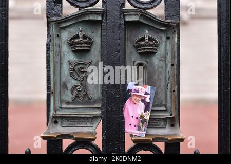 Londra, Inghilterra, Regno Unito. 11th Set, 2022. Un ritratto della regina Elisabetta II inglese collocato sulle porte del Buckingham Palace a Londra domenica 11 settembre 2022. (Credit Image: © Thomas Krych/ZUMA Press Wire) Credit: ZUMA Press, Inc./Alamy Live News Foto Stock