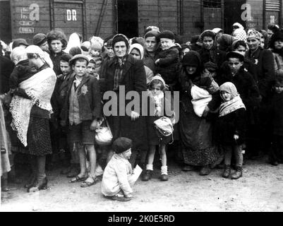 Arrivo degli ebrei ungheresi in treno, estate 1944, al campo di sterminio nazista tedesco di Auschwitz in Polonia. Foto Stock