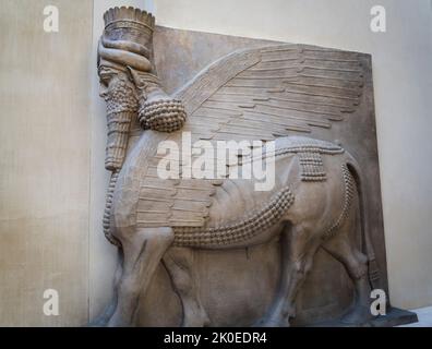 Lamassu assiro (toro alato a testa umana); circa 713–716 a.C.; 4,2 x 4,4 x 1 m, Museo del Louvre, il museo più visitato del mondo e un landmar storico Foto Stock