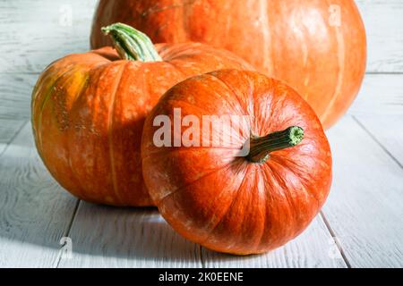Zucche sul tavolo di legno bianco per il tema del Ringraziamento e di Halloween. Ancora vita di verdure d'arancia, zucca intera contro tavole rustiche di legno. Organico Foto Stock