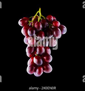 Un mazzo di uve mature retroilluminate isolate su sfondo nero Foto Stock