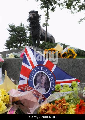 Tributi floreali alla statua di Aslan in CS Lewis Square nella parte orientale di Belfast, dopo la morte della regina Elisabetta II Data immagine: Domenica 11 settembre 2022. Foto Stock