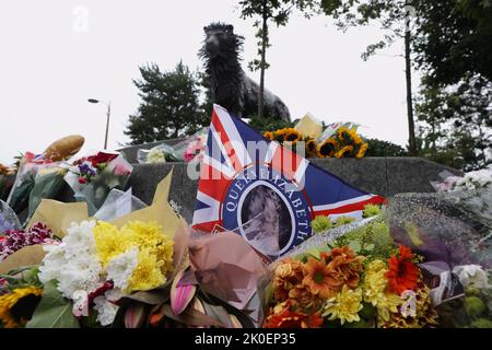 Tributi floreali alla statua di Aslan in CS Lewis Square nella parte orientale di Belfast, dopo la morte della regina Elisabetta II Data immagine: Domenica 11 settembre 2022. Foto Stock