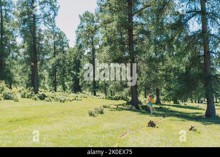 Ragazza viaggiatore in un cappello e uno zaino cammina attraverso la foresta Foto Stock