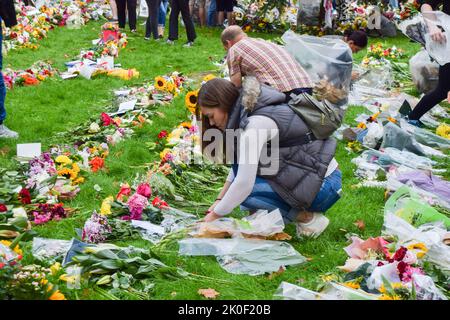 Londra, Inghilterra, Regno Unito. 11th Set, 2022. Volontari organizzano omaggi floreali per la Regina nel Parco Verde. Molti dei fiori sono stati spostati dall'esterno di Buckingham Palace, mentre migliaia di persone hanno portato anche nuovi omaggi floreali. La Regina morì il 8th settembre, all'età di 96 anni. (Credit Image: © Vuk Valcic/ZUMA Press Wire) Credit: ZUMA Press, Inc./Alamy Live News Foto Stock