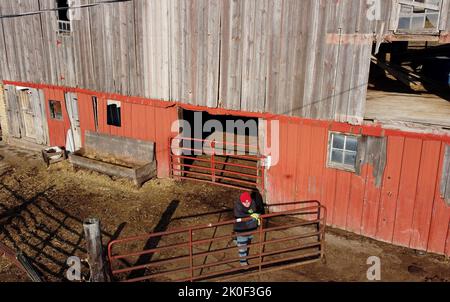 Spraguville, Iowa, Stati Uniti. 18th Dec, 2021. John Gibbs è acceso e spento il trattore diverse volte per aprire e chiudere i cancelli intorno al fienile ottiene l'alimentazione iniziale fatto 18th dicembre 2021. (Credit Image: © Kevin E. Schmidt/ZUMA Press Wire) Foto Stock