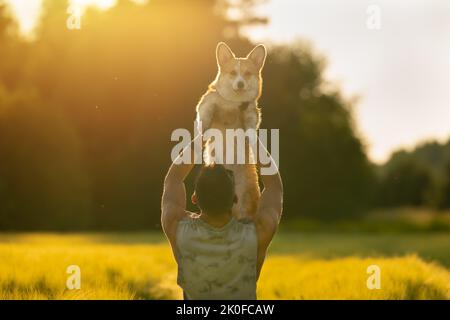 Uomo che tiene felice cane corgi tra le braccia al tramonto. Cane e proprietario insieme. Amore per gli animali domestici Foto Stock
