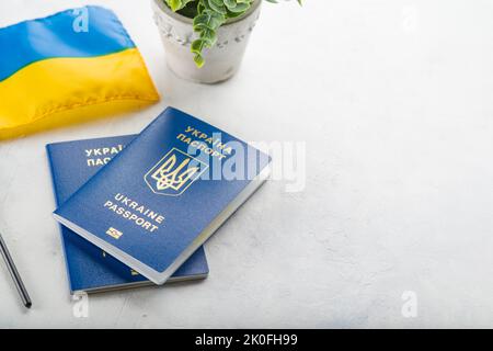 Su sfondo bianco si trovano due passaporti biometrici ucraini e una piccola bandiera dell'Ucraina. Identificazione personale, libertà, democrazia, viaggi all'estero, r Foto Stock